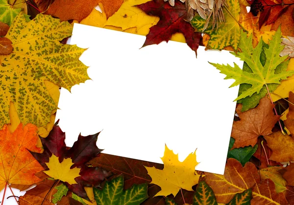 Farbenfroher Rahmen gefallener Herbstblätter mit Textnachricht — Stockfoto