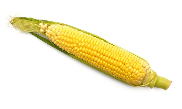 Corn isolated on white — Stock Photo, Image