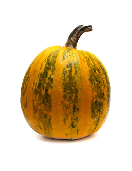 Zucca arancione isolato su sfondo bianco — Foto Stock