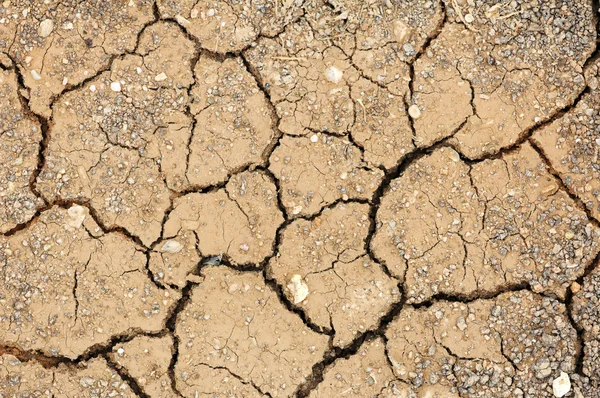 Cracked clay soil into the dry season — Stock Photo, Image