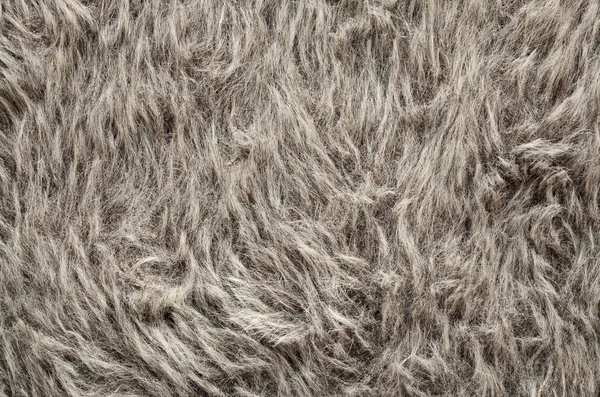 Gray fur texture, close-up. Useful as background — Stock Photo, Image