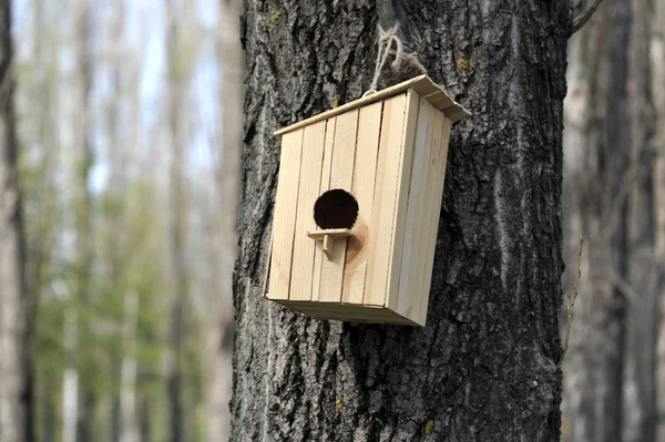 Trä fågelhus på trädet — Stockfoto