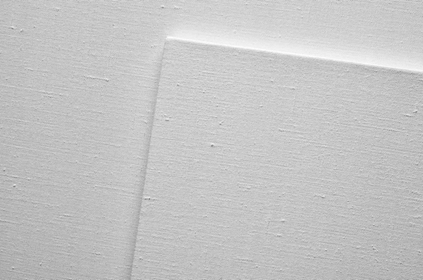 Textura o fondo de lona blanca — Foto de Stock