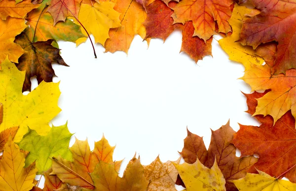 Rahmen aus bunten Herbstblättern — Stockfoto