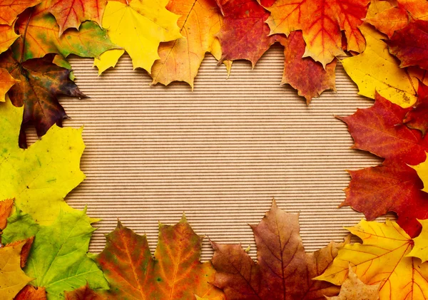 Frame composed of colorful autumn leaves — Stock Photo, Image