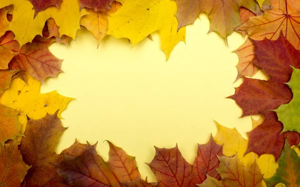 Frame composed of colorful autumn leaves — Stock Photo, Image