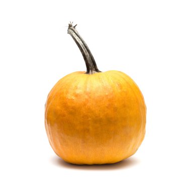 beyaz arkaplanda turuncu balkabağı