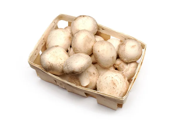大量的白色背景上的柳条篮子香菇 — 图库照片
