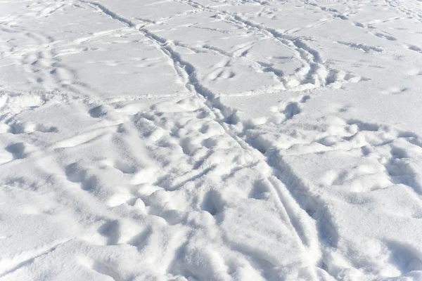 Sneeuw textuur en voetafdrukken in de sneeuw — Stockfoto