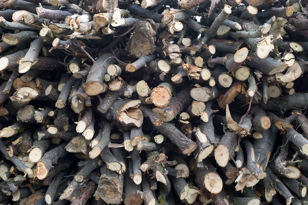Izgara için ateşe odun yığını — Stok fotoğraf