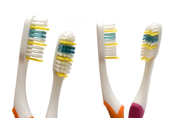 To tannbørster på hvit bakgrunn – stockfoto