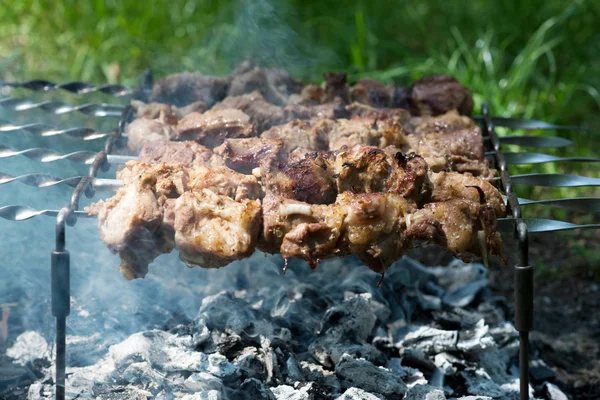 Soczyste plastry mięsa przygotować na ogień — Zdjęcie stockowe