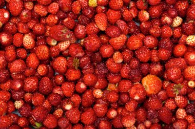 çilek sorunsuz doku