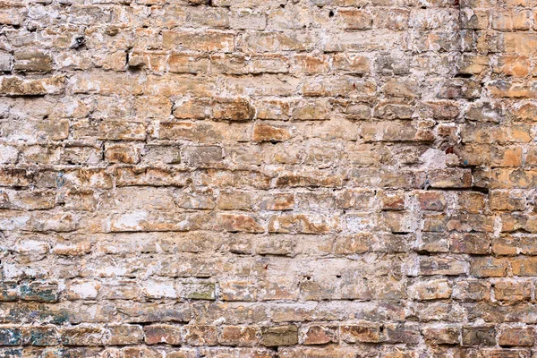 Background of brick wall texture — Stock Photo, Image