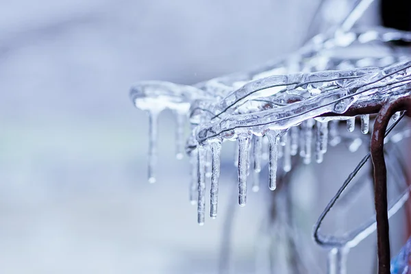 Congelado en las ramas de hielo — Foto de Stock