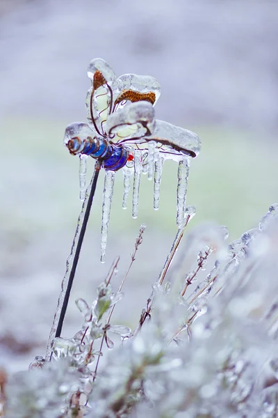 Bevroren in het ijs takken — Stockfoto