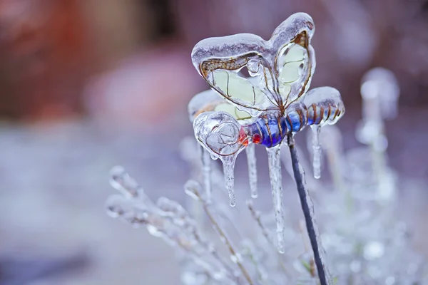 Frozen in the ice branches — Stock Photo, Image