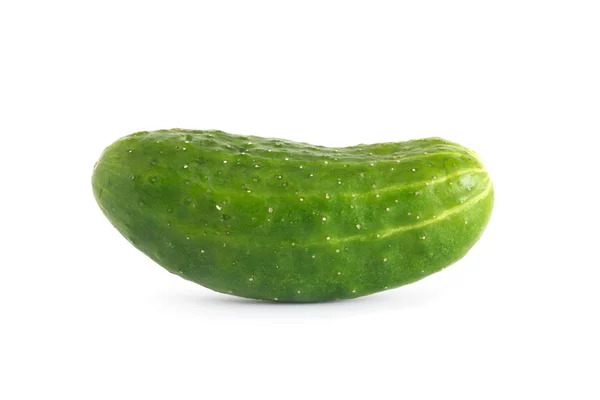 Pepino em Branco — Fotografia de Stock