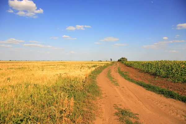 Camino del país —  Fotos de Stock