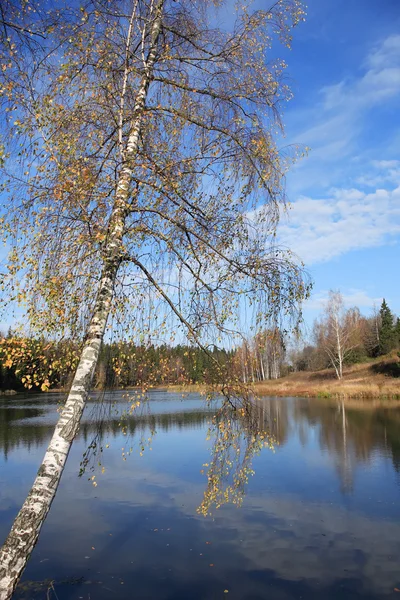 Höstens sjö — Stockfoto