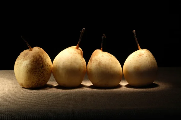 Peren op doek — Stockfoto