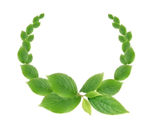 Green Leaves Wreath — Stock Photo, Image