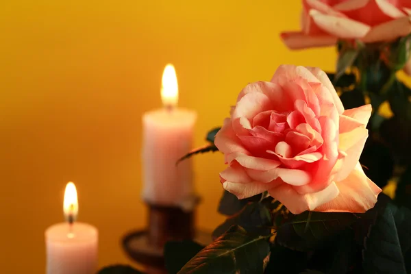 Rosa e candele — Foto Stock