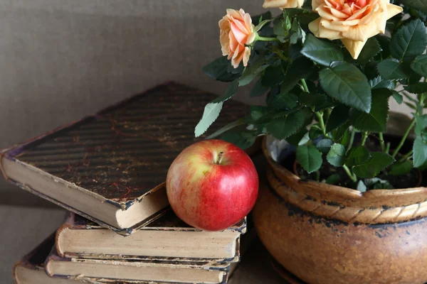 Apple On Book — Stock Photo, Image