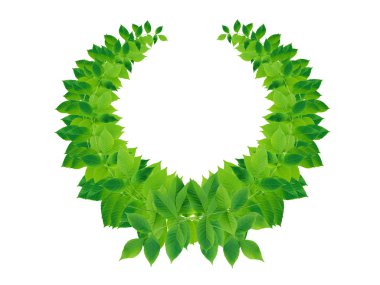 yeşil yaprakları çelenk