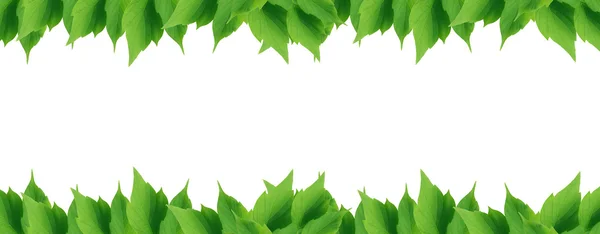 Green Leaves Border — Stock Photo, Image