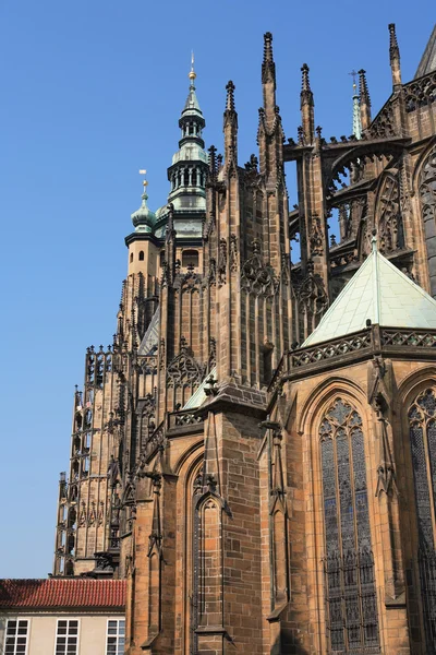 Sint-Vituskathedraal — Stockfoto