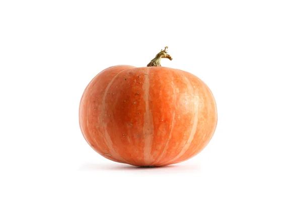 Calabaza en blanco —  Fotos de Stock