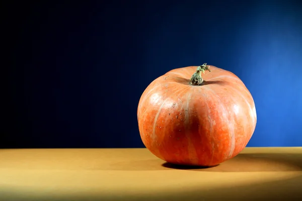 Pumpkin Fruit — Stock Photo, Image