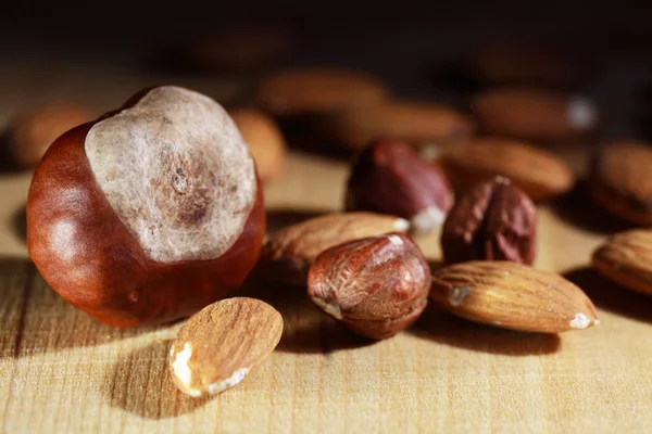 Nuts On Wood — Stock Photo, Image