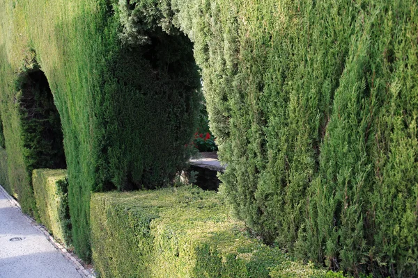 Jardins Generalife — Fotografia de Stock