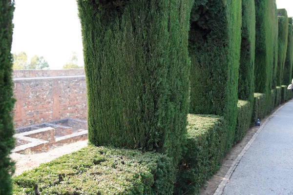 Jardines del Generalife —  Fotos de Stock