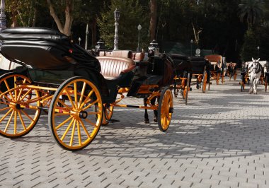 arabayı park
