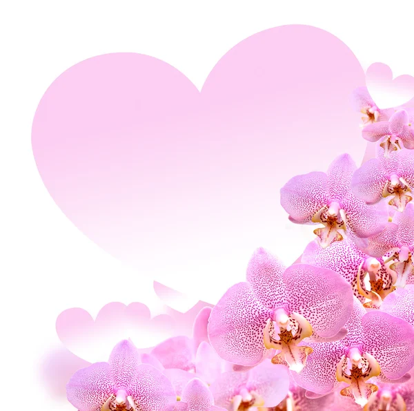 Orchid And Heart — Stock Photo, Image