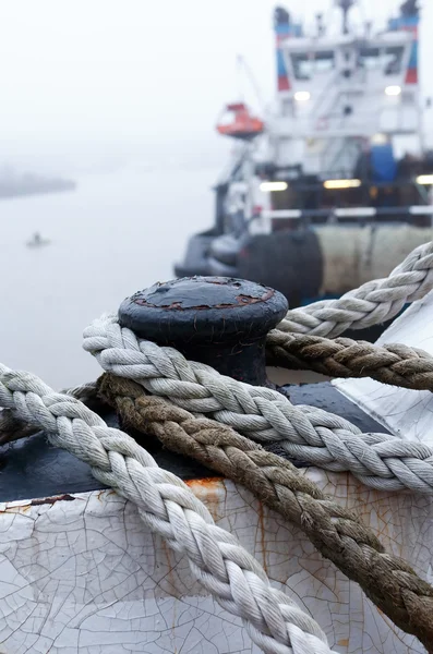 Ochtend in de haven van — Stockfoto