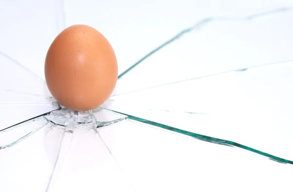 Egg On Broken Glass — Stock Photo, Image