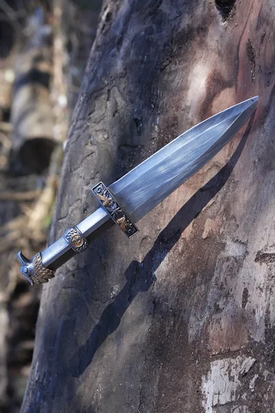 Dagger In Wood — Stock Photo, Image