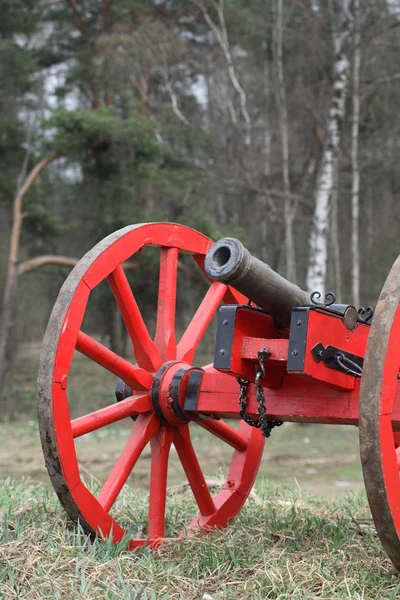 Vecchio cannone — Foto Stock