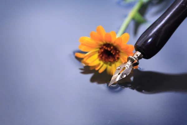 Pen And Flower — Stock Photo, Image