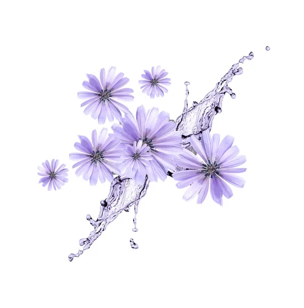 美丽的紫色花朵在水花中飞溅 — 图库照片