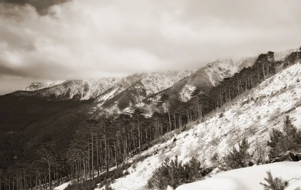 山 — ストック写真