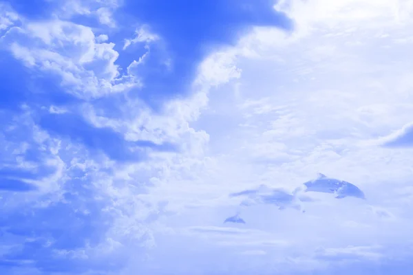 Gökyüzünde yüzen yunus — Stok fotoğraf