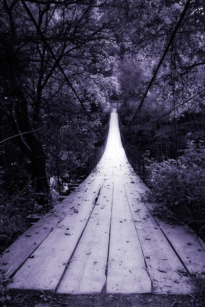 Suspension bridge — Stock Photo, Image