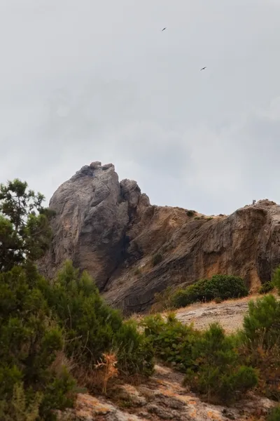 Landschaft — Stockfoto