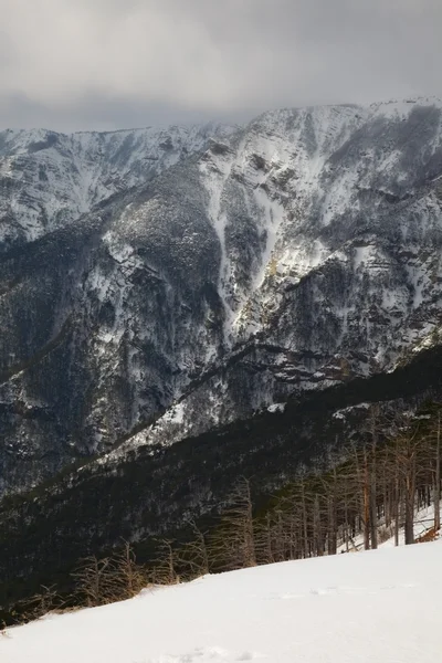 风景 — 图库照片