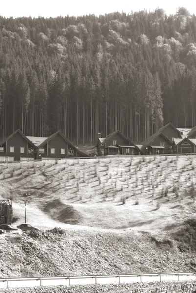 Casas perto de floresta velha — Fotografia de Stock